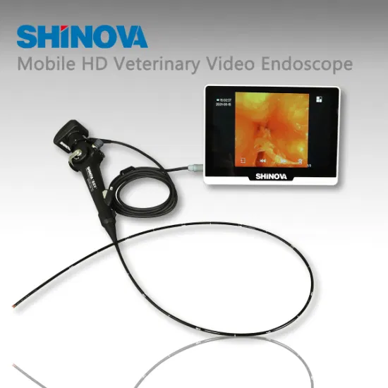 Ветеринарное оборудование Ветеринарный жесткий эндоскоп